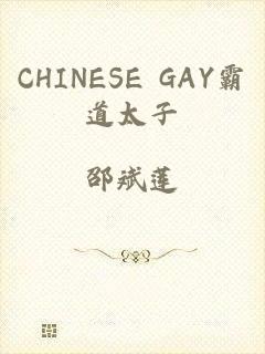 CHINESE GAY霸道太子